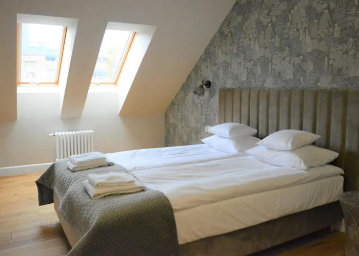 Dyrektora Old Brewery Premium By Browar Hevelius